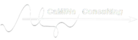 Camina Consulting