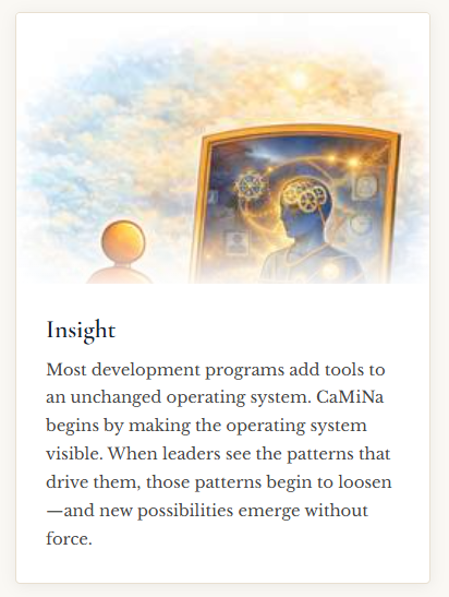 insight