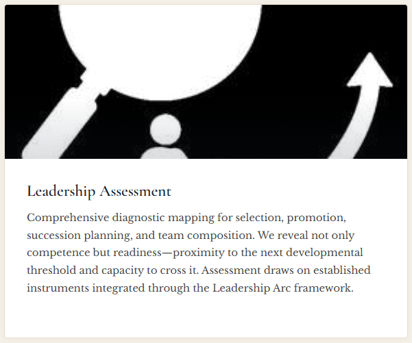 leader-assess