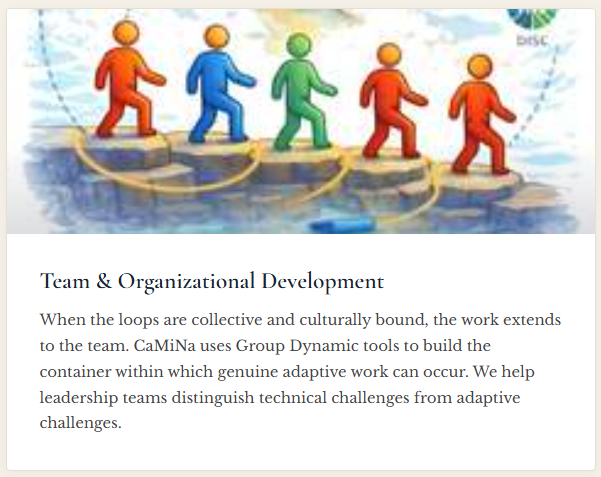 team-org